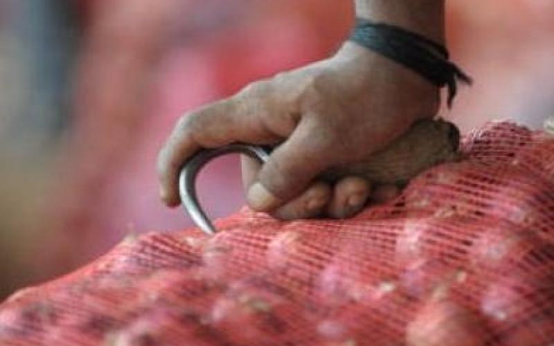 ضبط 5 أطنان من البصل المهرب