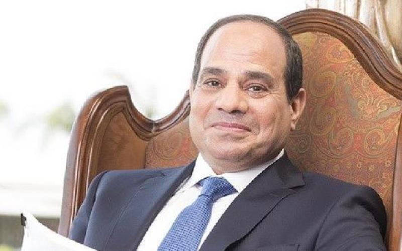 الملك يشارك بتنصيب السيسي  