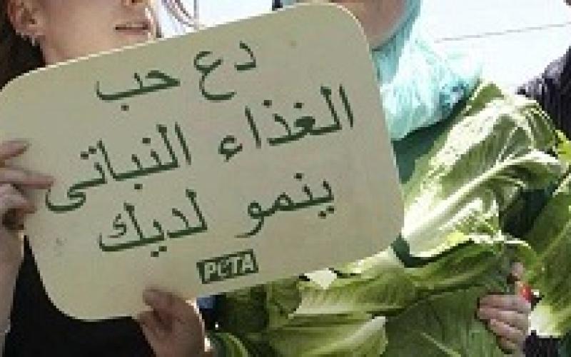 بيتا: الأردن بين الوجهات الأفضل للنباتيين