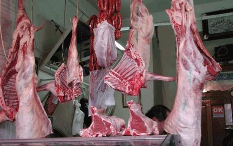 استبعاد ارتفاع أسعار اللحوم المستوردة خلال رمضان