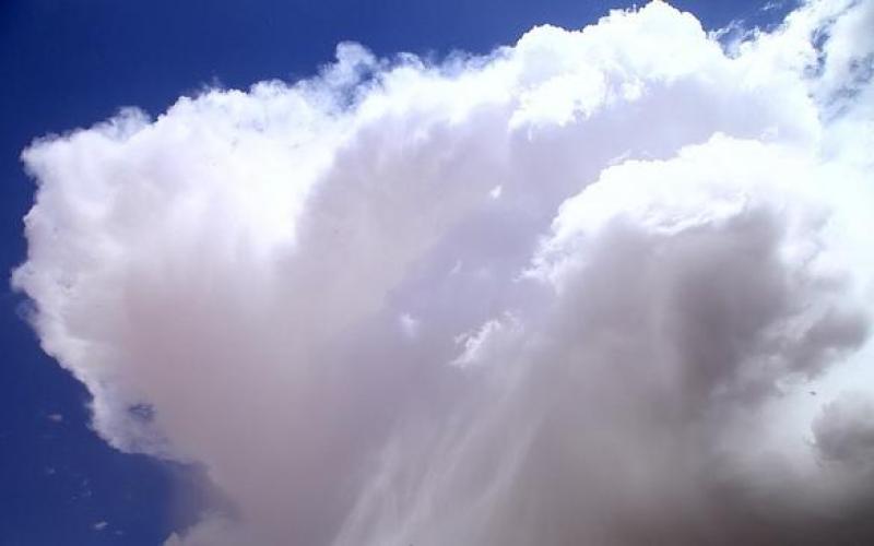 طقس معتدل في أغلب المناطق 