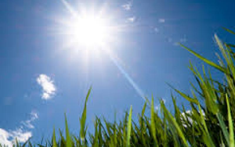 طقس معتدل في معظم مناطق المملكة