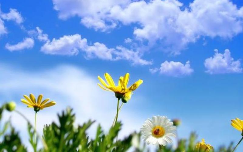 أجواء معتدلة في معظم مناطق الممكلة