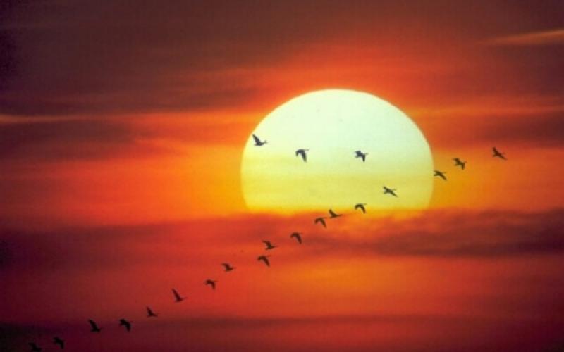  طقس حار وجاف الاثنين والثلاثاء