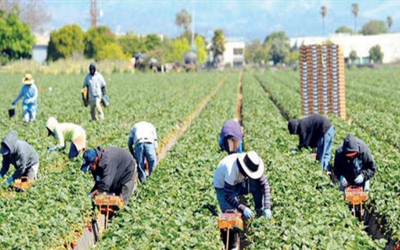 بحث فتح السوق الروسي امام الصادرات الزراعية