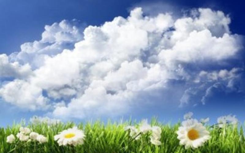 طقس معتدل حتى الجمعة في معظم مناطق المملكة 