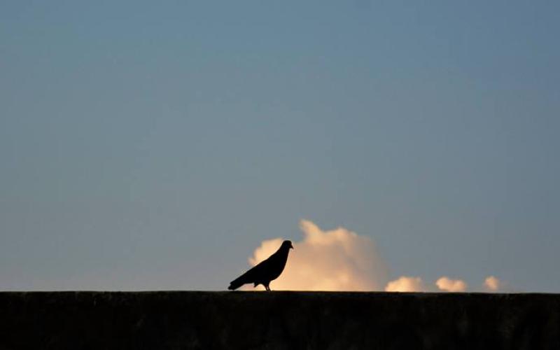 طقس لطيف حتى الاربعاء