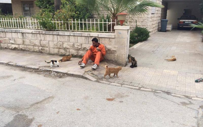 عامل وطن يطعم عدداً من القطط في عمّان - من صفحة حسام عواد