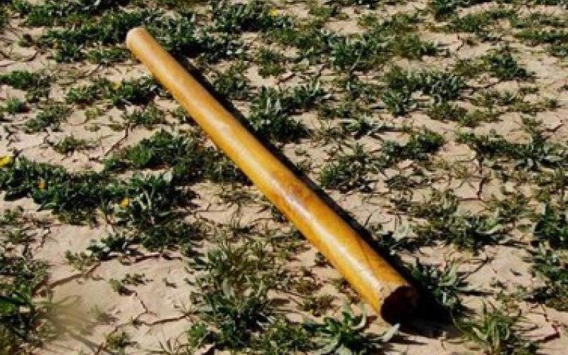 "المعلمين" تستنكر استمرار الإعتداء على كوادرها 