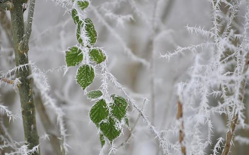 تحذيرات دائرة الأرصاد اليوم الأحد