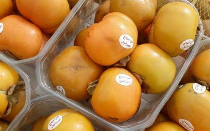 الزراعة: لا كاكا وافوكادو اسرائيلية في الأسواق الأردنية