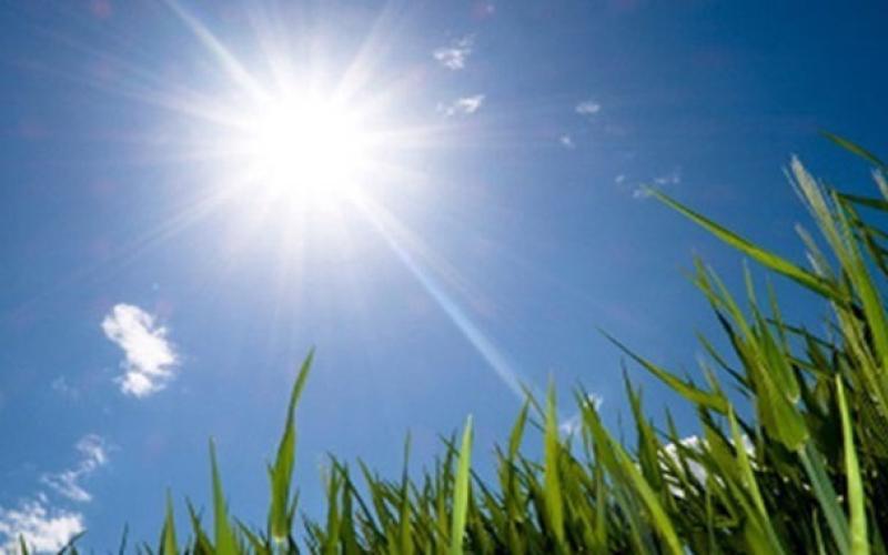 طقس ربيعي دافئ خلال الثلاثة أيام