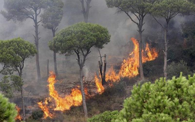 حريقان في الشمال أحدهما بسبب "سيجارة"