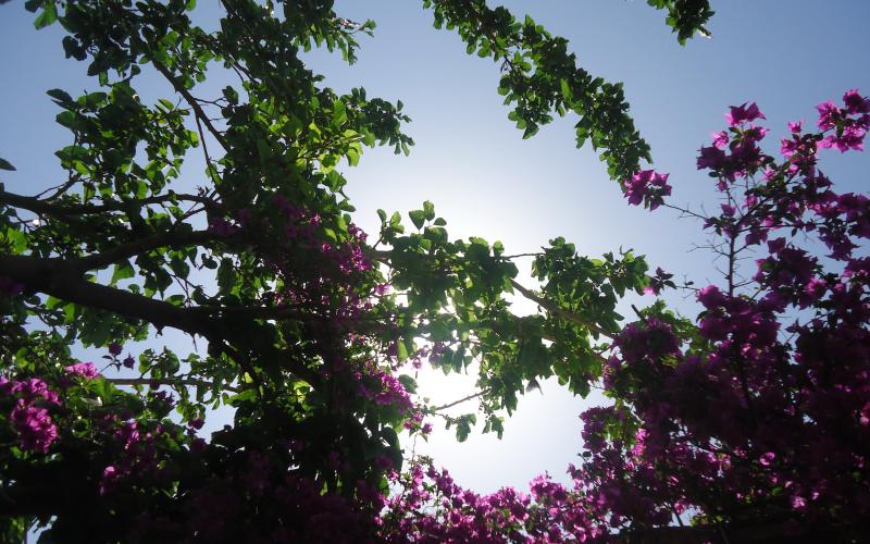 أجواء معتدلة في مختلف المحافظات