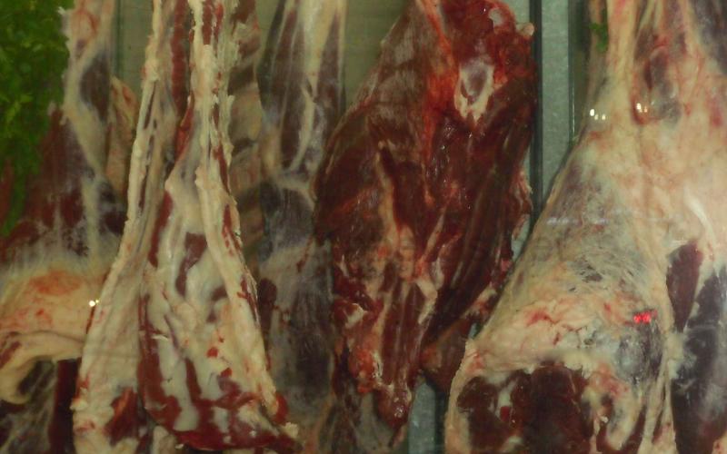 مادبا: ضبط ملحمة تبيع لحوما فاسدة