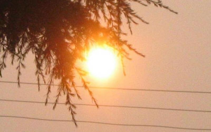 طقس حار نسبياً الاثنين