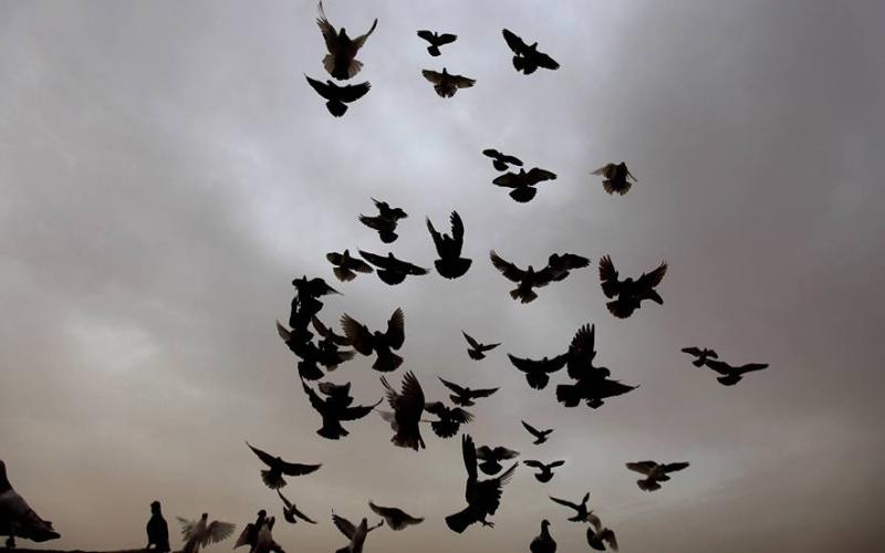 طقس لطيف مع بداية الأسبوع