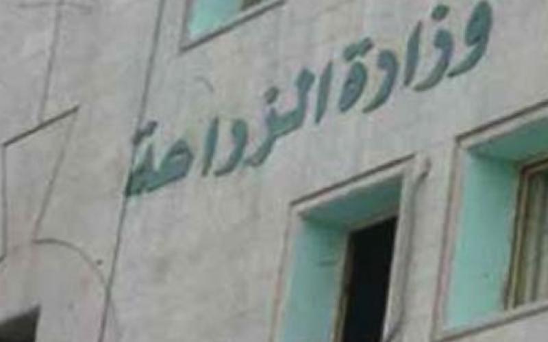 الزراعة تحقق في تجاوزات بمنح تصاريح عمل لوافدين