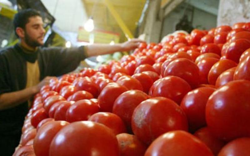 العدوان: ارتفاع الحرارة زاد إنتاج الخضارعلى حساب الجودة