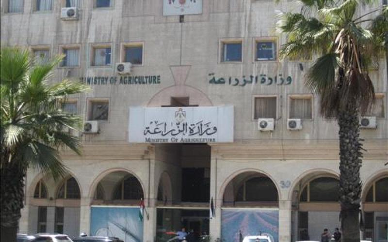 تثبيت 539 عامل مياومة في الزراعة