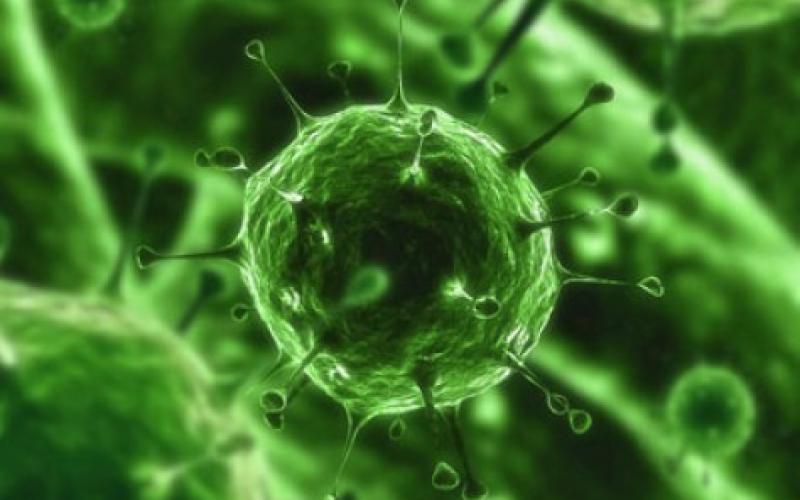 3 إصابات جديدة بكورونا