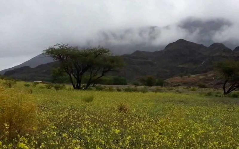 أجواء خريفية السبت