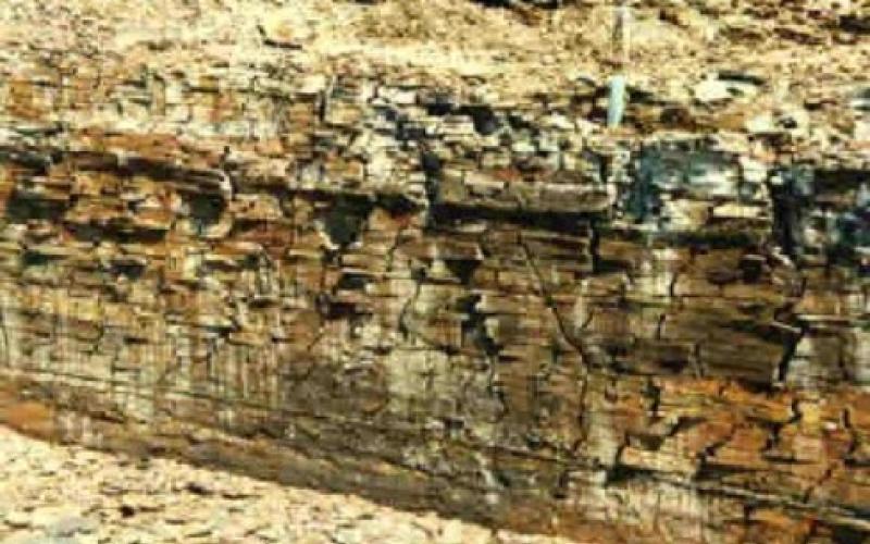 الأردن يبدأ بالتحول الموضعي للصخر الزيتي