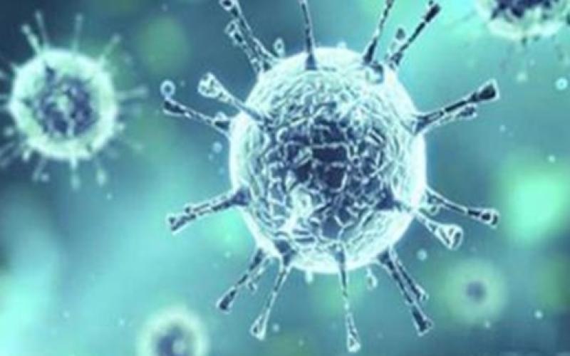 الصحة: لا إصابات بكورونا عند الحجاج الأردنيين