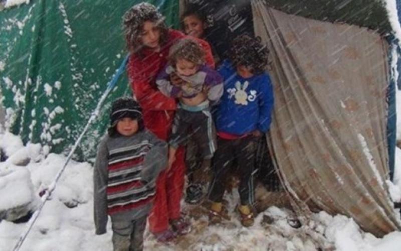 "المفوضية" 340 دينار لكل عائلة سورية خارج المخيمات