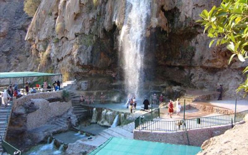 الحموري فوز الاردن برئاسة المجلس العالمي للسياحة العلاجية يؤكد مكانته الطبية