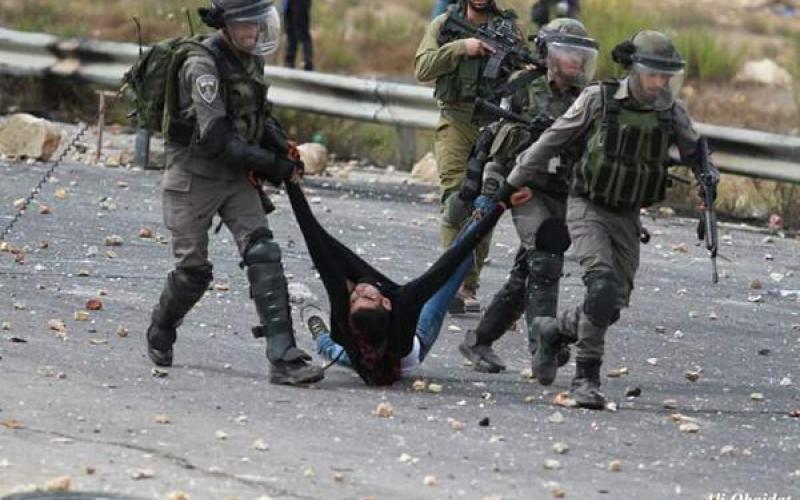 فلسطين: 23 شهيدا وأكثر من ألف جريح منذ بداية الشهر