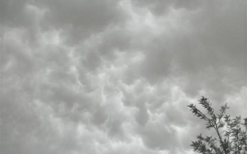 أجواء باردة وأمطار وسط وشمال المملكة