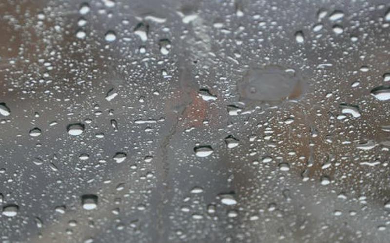 أجواء باردة وفرصة لأمطار خفيفة