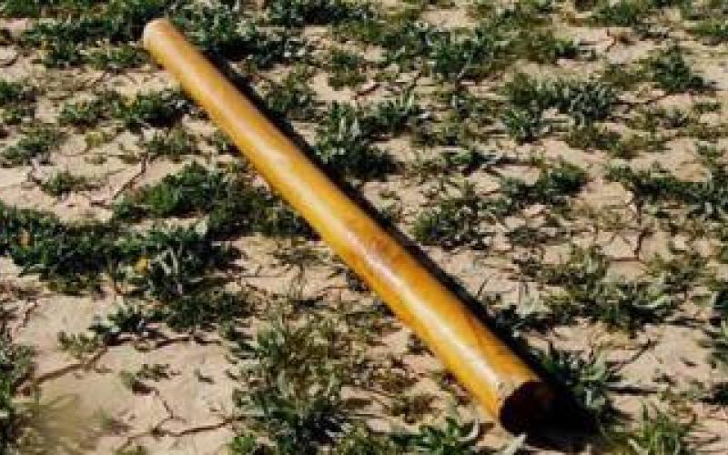 اعتداء بالعصيّ على معلم في الرمثا