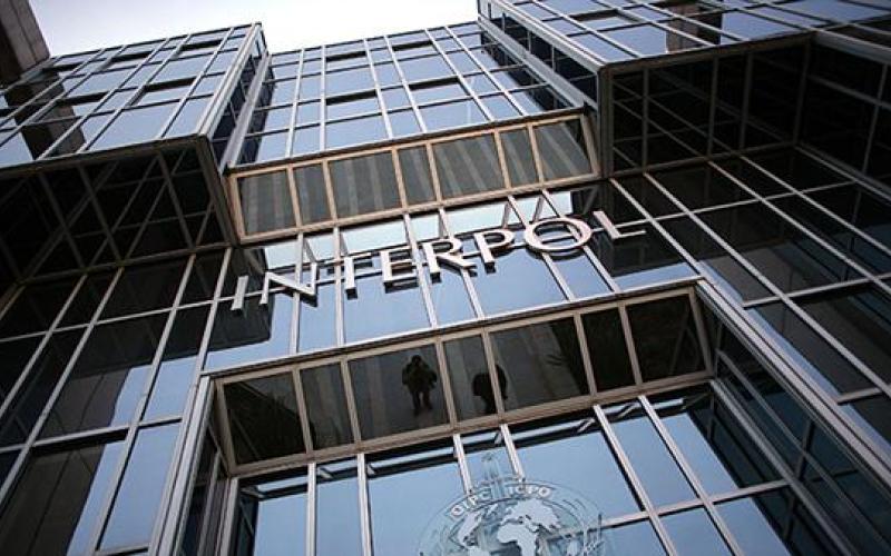 انتربول عمّان يسلم مطلوبين لدول عربيّة