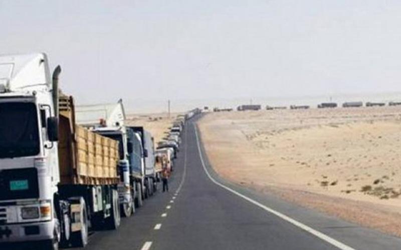 الأردن يصدر 35 ألف طن خضار للخليج