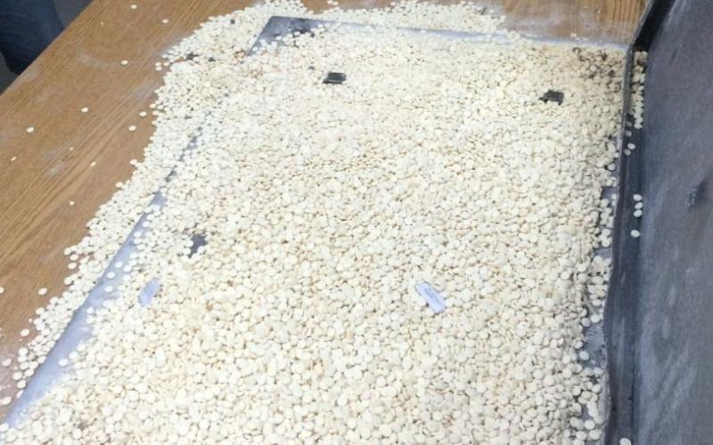 ضبط 38 ألف حبة مخدرة بفرن غاز