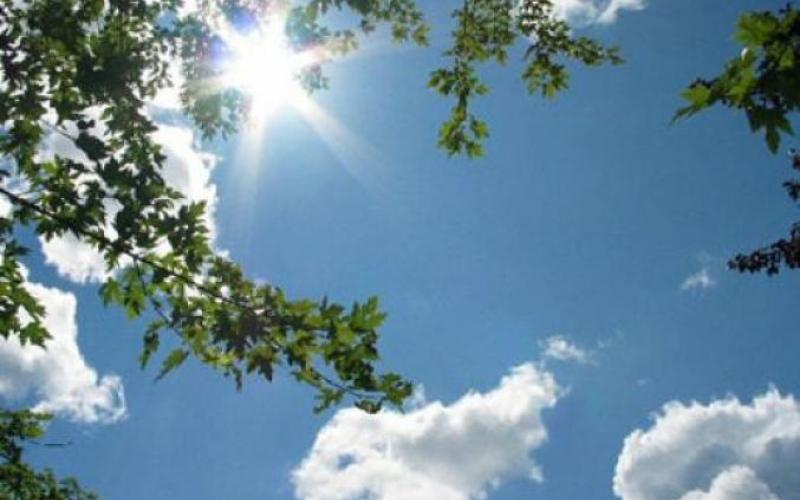 أجواء دافئة نهاراً وباردة ليلاً