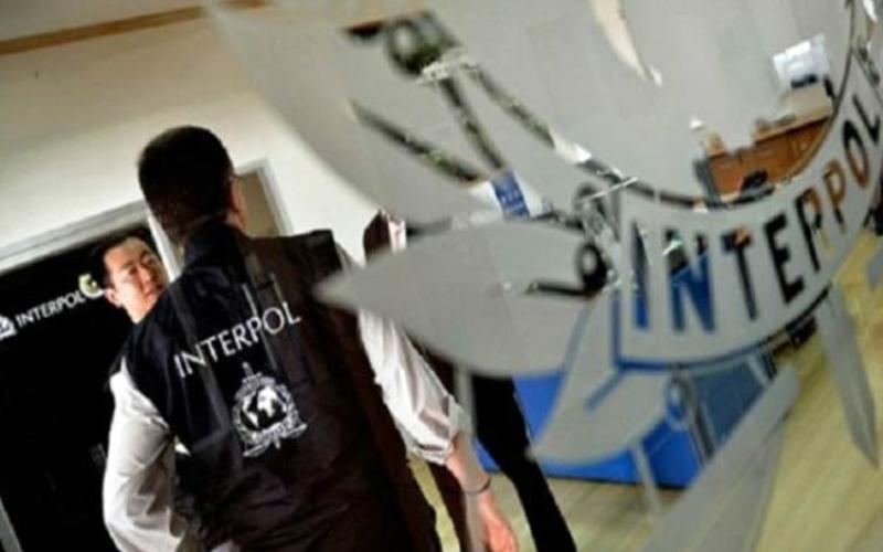 القبض على 9 مطلوبين للإنتربول آذار الماضي