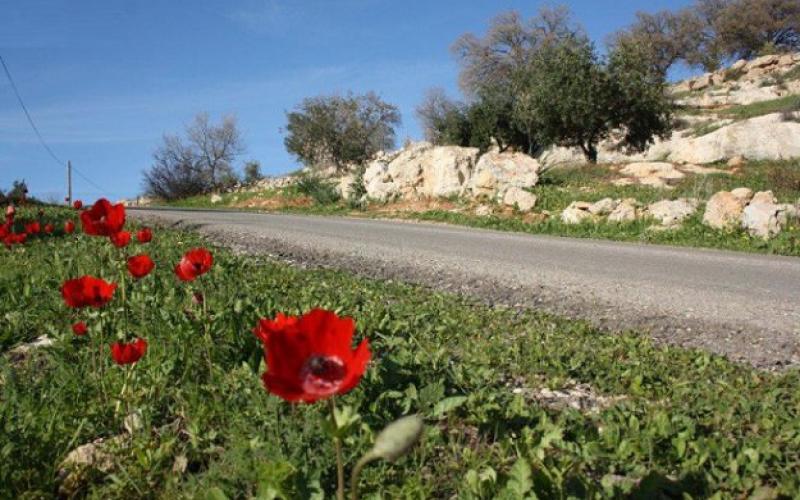 أجواء معتدلة في معظم مناطق المملكة