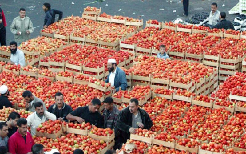 استقرار أسعار الخضار على انخفاض