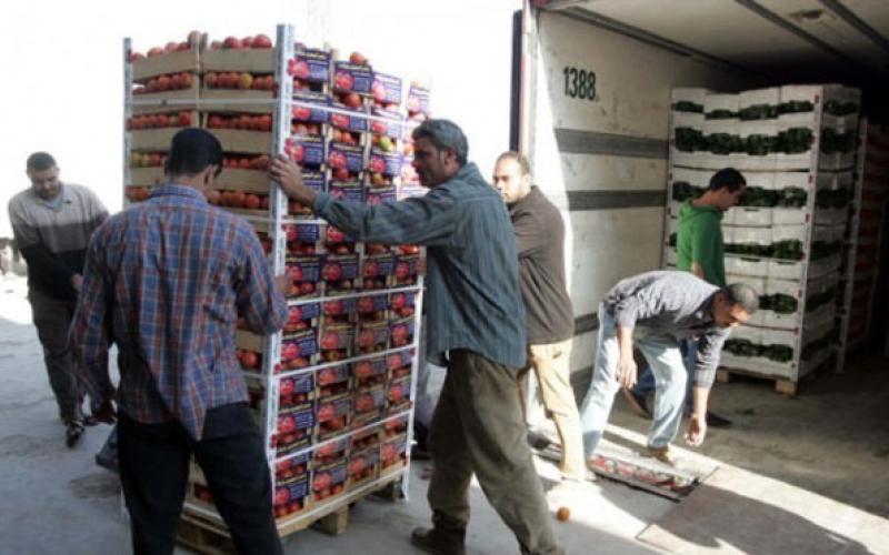 الأردن يصدر 2400 طن خضار للخليج