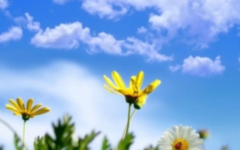 أجواء لطيفة اليوم وارتفاع الحرارة الاحد والاثنين