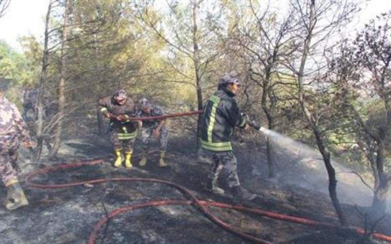 4 حرائق بأعشاب جافة في الطفيلة