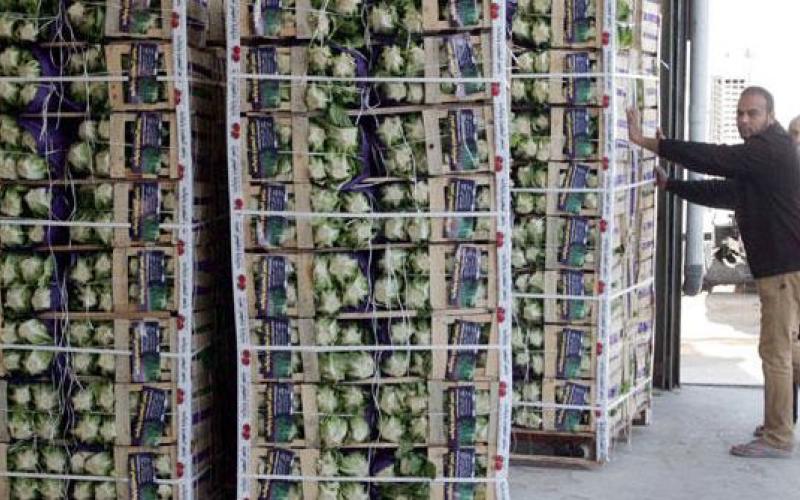 الأردن يصدر للخليج نحو 2500 طن خضار وفواكه يومياً
