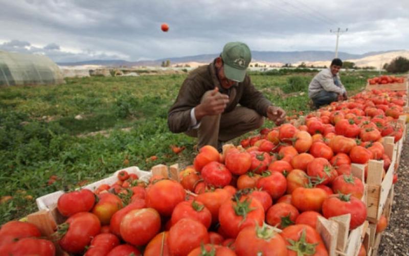 اتحاد المزارعين: نداء أخير للملك