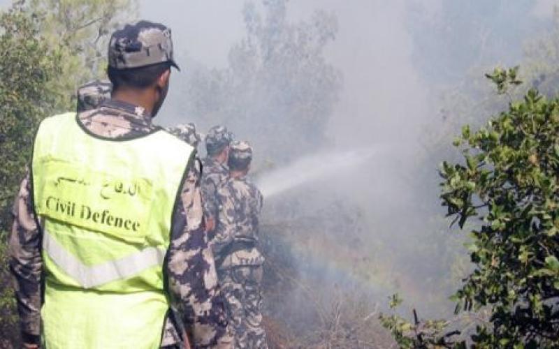 حريق أعشاب جافة وأشجار حرجية في عجلون