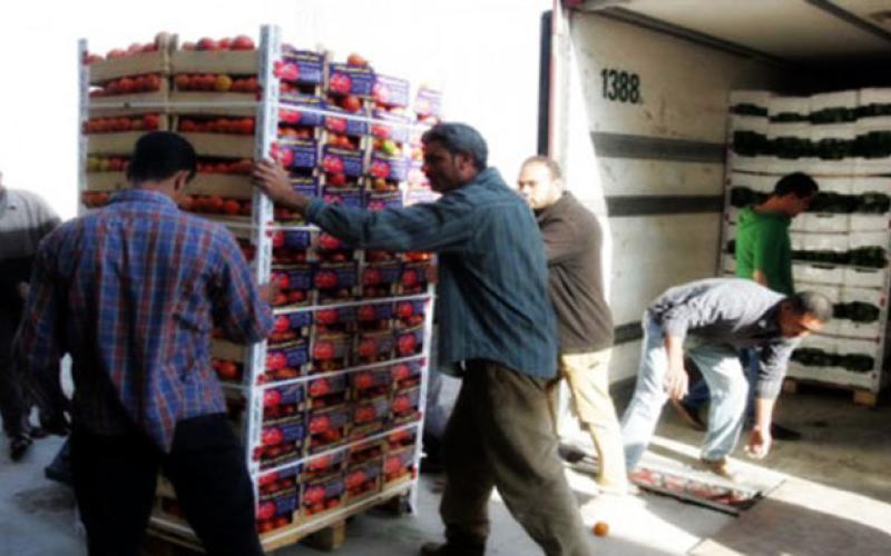 انخفاض صادرات الأردن من الخضار والفواكه