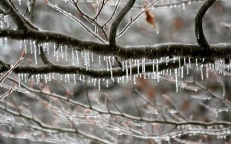 أجواء باردة وغائمة جزئيا وتوقع تشكل الصقيع