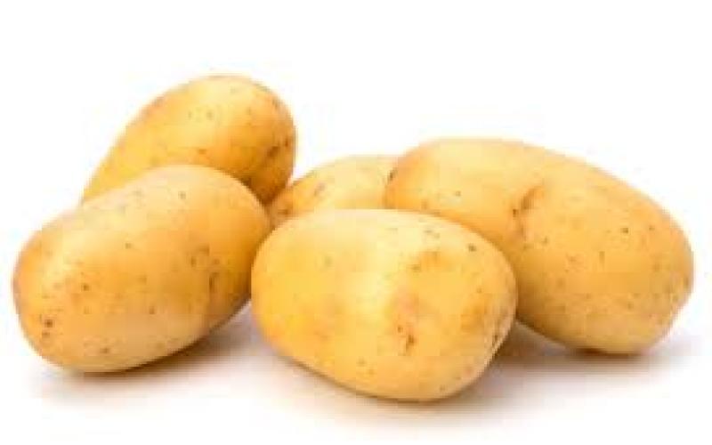 الزراعة تبحث استيراد البطاطا من الخارج